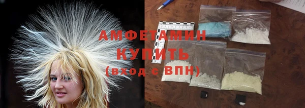 амф Пестово