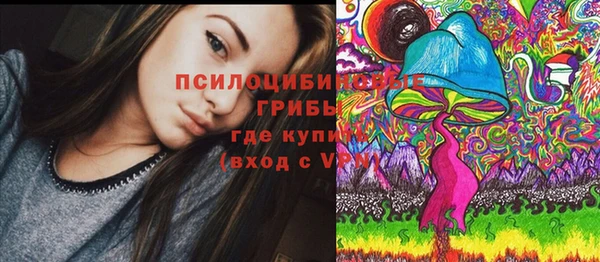 дурь Аркадак