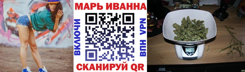 Конопля сатива  Михайловск 
